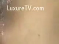 Beast Sex - Throbbing dog meat inside a wet bawdy cleft